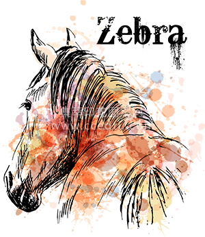 水彩斑马