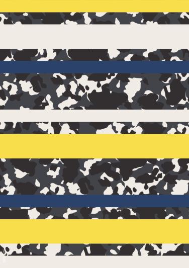 ӡز_ӡͼ_ʸͼ#Animal_stripe_2