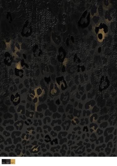 ӡز_ӡͼ_ʸͼ#Blackonblack_Leopard
