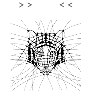 Line tiger