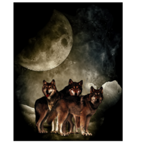 Moon wolves