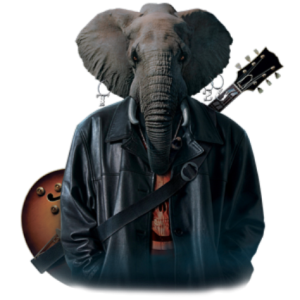 Musical elephant