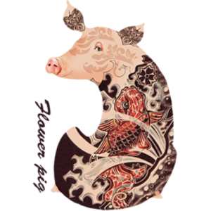 pig